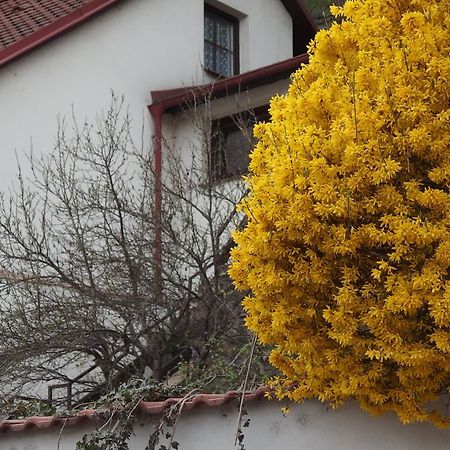 Apartmány u Koček Tábor Exterior foto