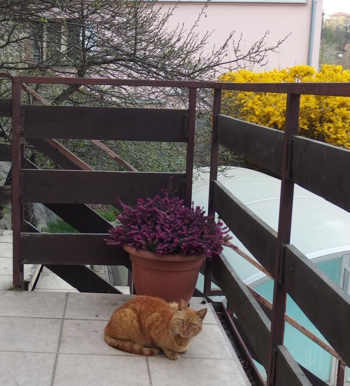Apartmány u Koček Tábor Exterior foto